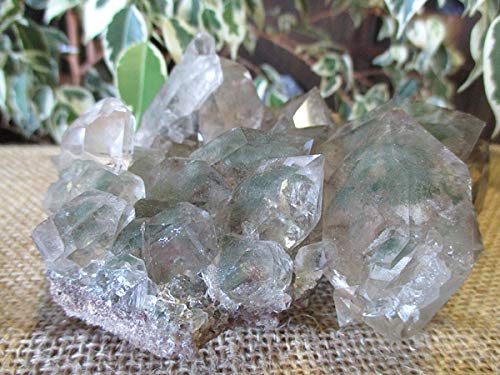 ガーデンクラスター 藻水晶 パワーストーン